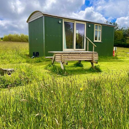 Stepping Stones Glamping 'The Olive' Villa Bantry Dış mekan fotoğraf