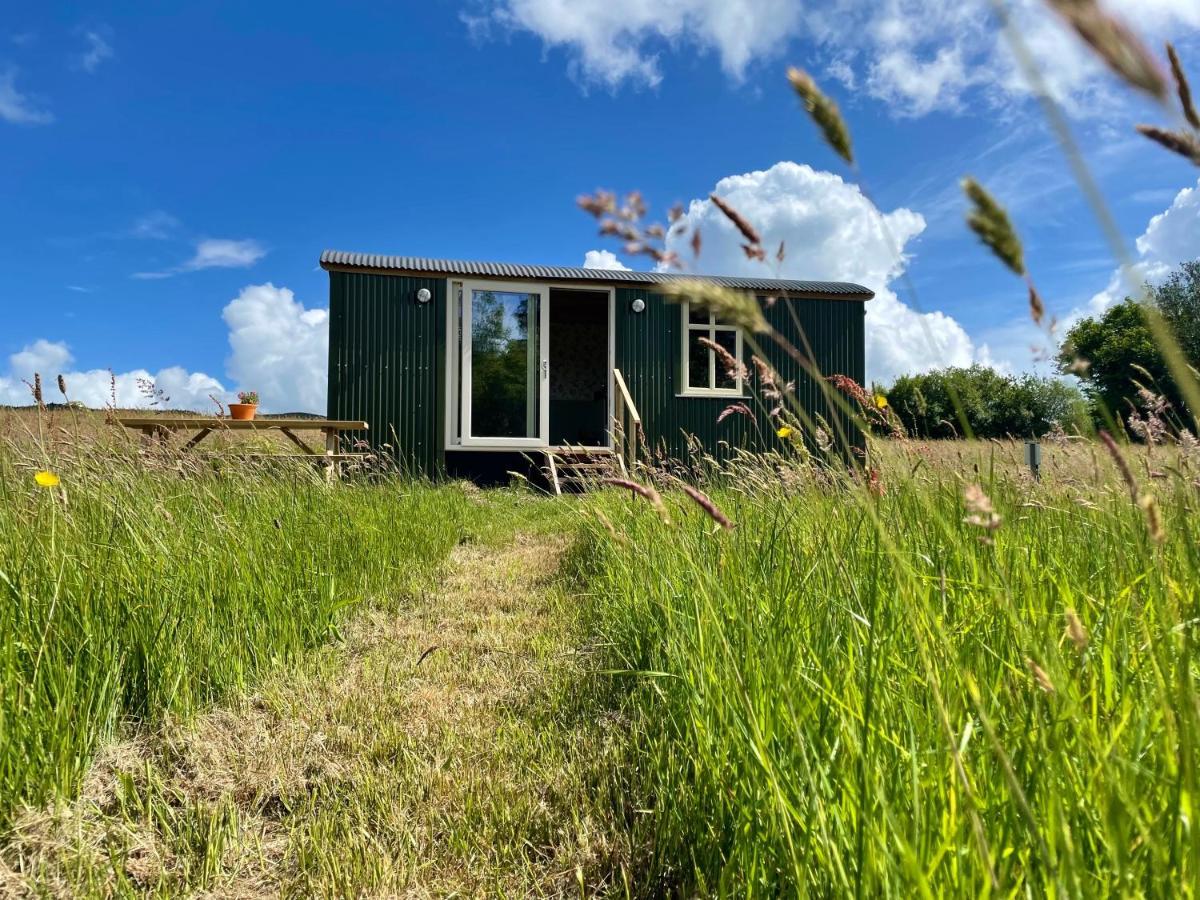 Stepping Stones Glamping 'The Olive' Villa Bantry Dış mekan fotoğraf