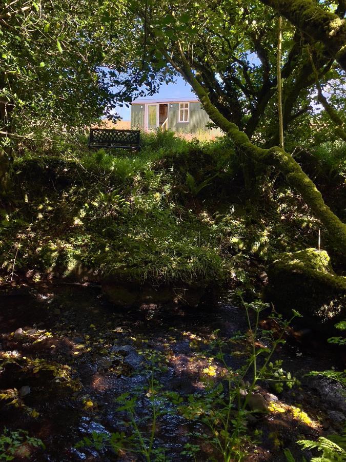 Stepping Stones Glamping 'The Olive' Villa Bantry Dış mekan fotoğraf