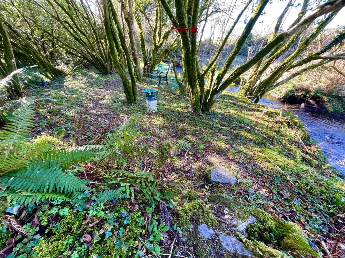 Stepping Stones Glamping 'The Olive' Villa Bantry Dış mekan fotoğraf
